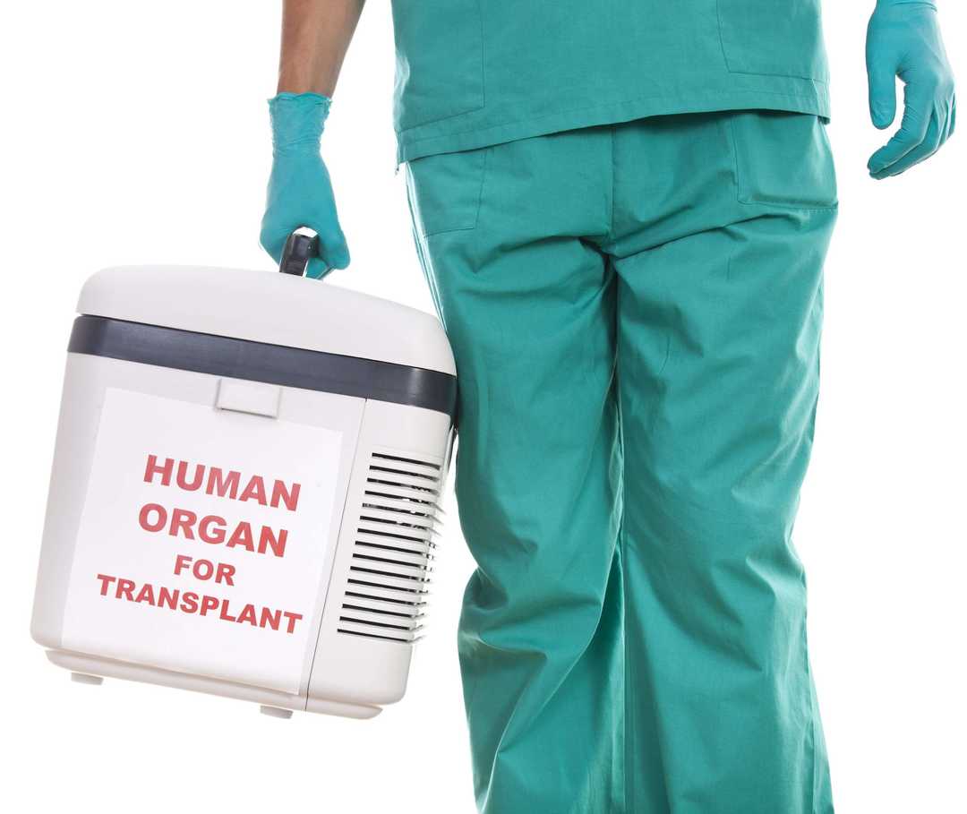Transplantation verstehen Transport Stammzellen