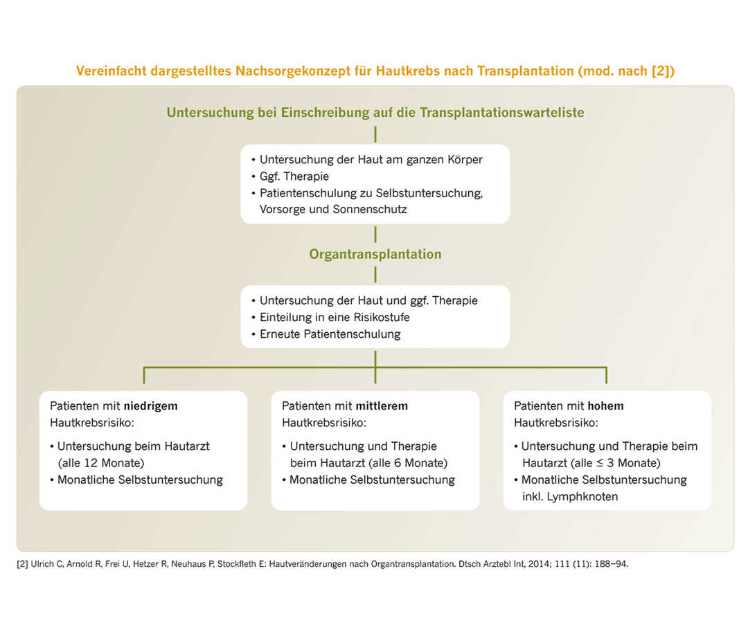 Vereinfacht dargestelltes Nachsorgekonzept für Hautkrebs nach Transplantation (mod. nach [2])