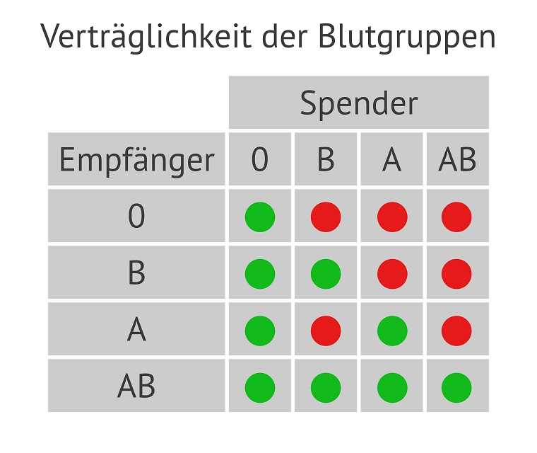Die Grafik zeigt, welche Blutgruppen untereinander verträglich sind